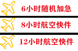 阿里普兰空运公司快递公司,专业空运当天件